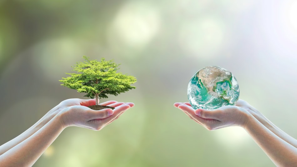 Un ingeniero ambiental una de las funciones de importancia que tiene es la promoción y prevención de mejores políticas ambientales