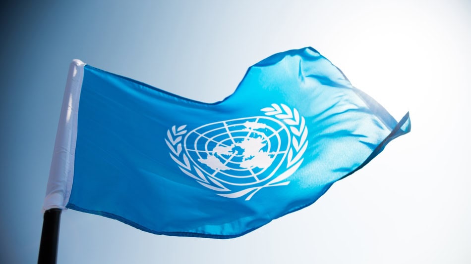 La UNCTAD actúa como un organismo que se encarga principalmente de todos los asuntos financieros, comerciales, de inversión y desarrollo