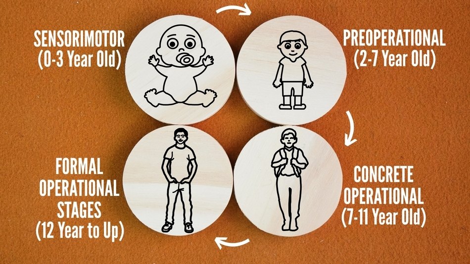 Gráfico de la teoría Jean Piaget del Desarrollo Cognitivo