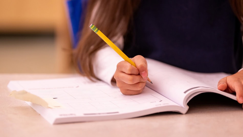 Los niveles de lectoescritura en primaria están organizados por etapas que los niños y niñas van superando poco a poco