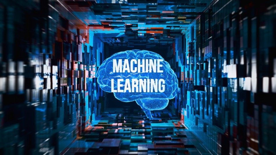 Los sistemas de machine learning funcionan a través de un ciclo continuo
